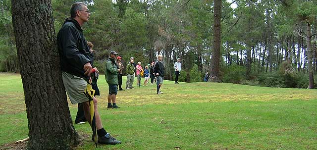 Disc Golf New Zealand